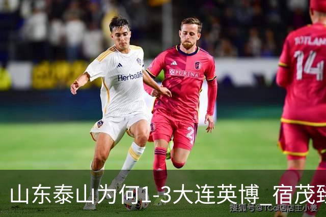 山东泰山为何1-3大连英博? 宿茂臻毫不客气说出原因，说的很实在